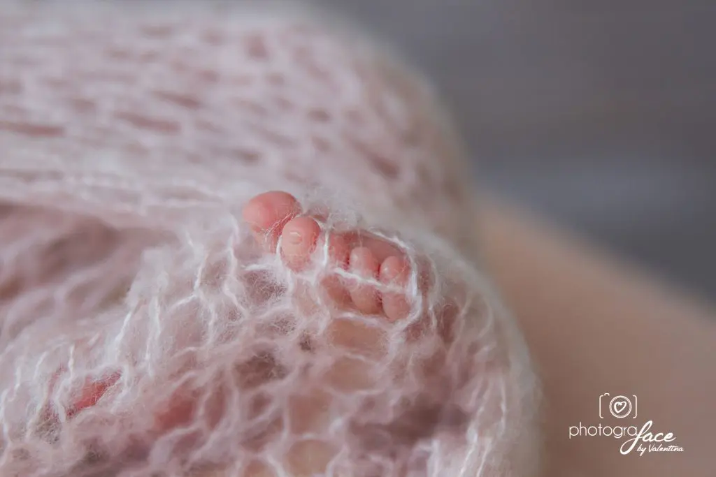 close up detail of newborn toes