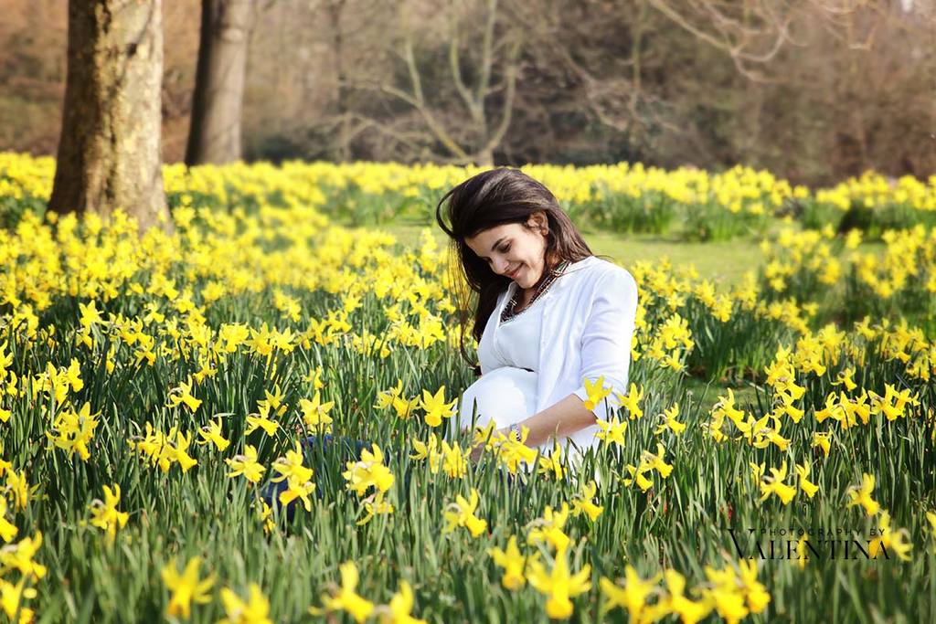 beautiful photo of an expecting mum sitting on a filed full of daffodils
