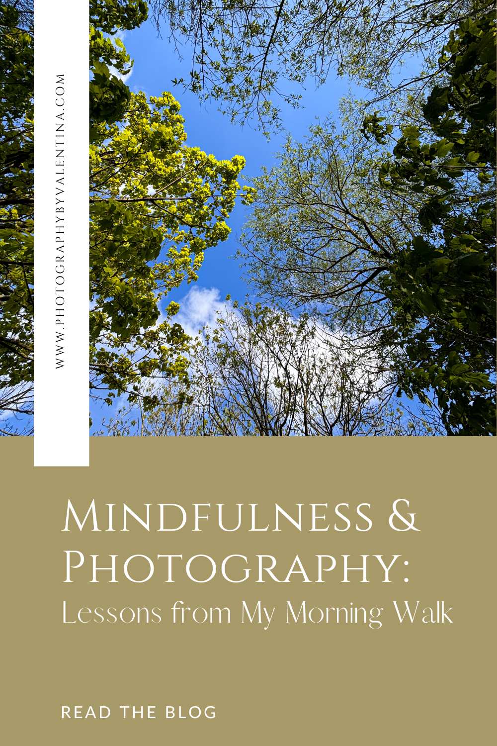 Mindfulness and photography: lessons from my morning walk
