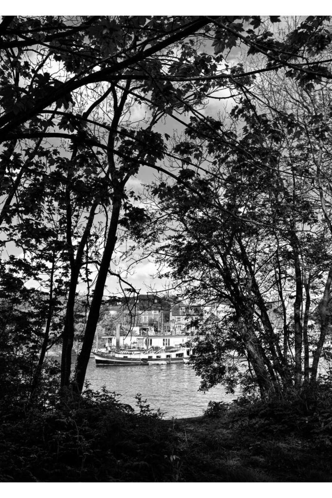 black and white photo of boats shot through trees