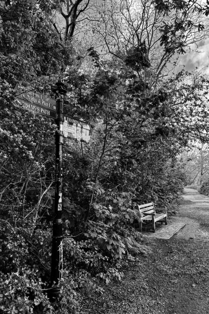 path signs: mindfulness and photography